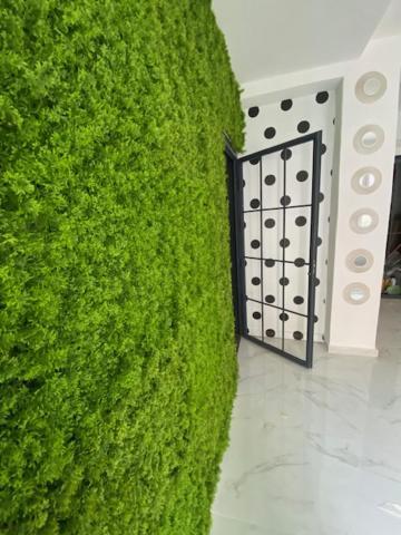 Suite 43 Terrasini Dış mekan fotoğraf